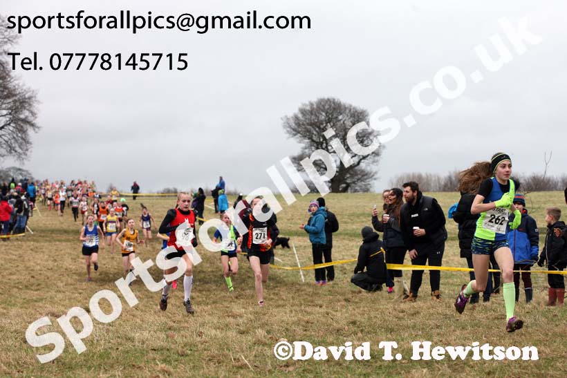 Girls under-13s, 2018 Northern Cross Country Champs., Harewood House, Leeds. Photo: David T. Hewitson/Sports for All Pics